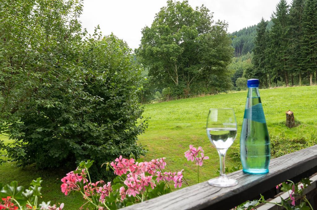Gasthof & Landhotel Ohrnbachtal Weilbach エクステリア 写真