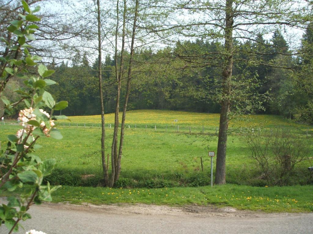 Gasthof & Landhotel Ohrnbachtal Weilbach エクステリア 写真