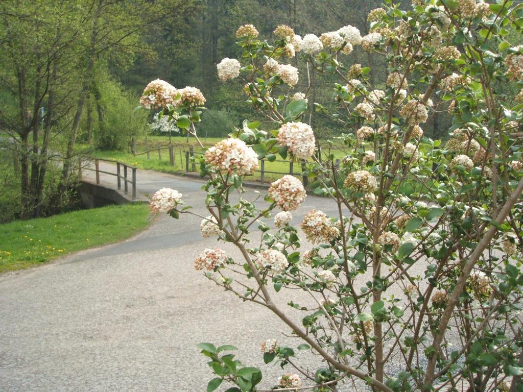 Gasthof & Landhotel Ohrnbachtal Weilbach エクステリア 写真